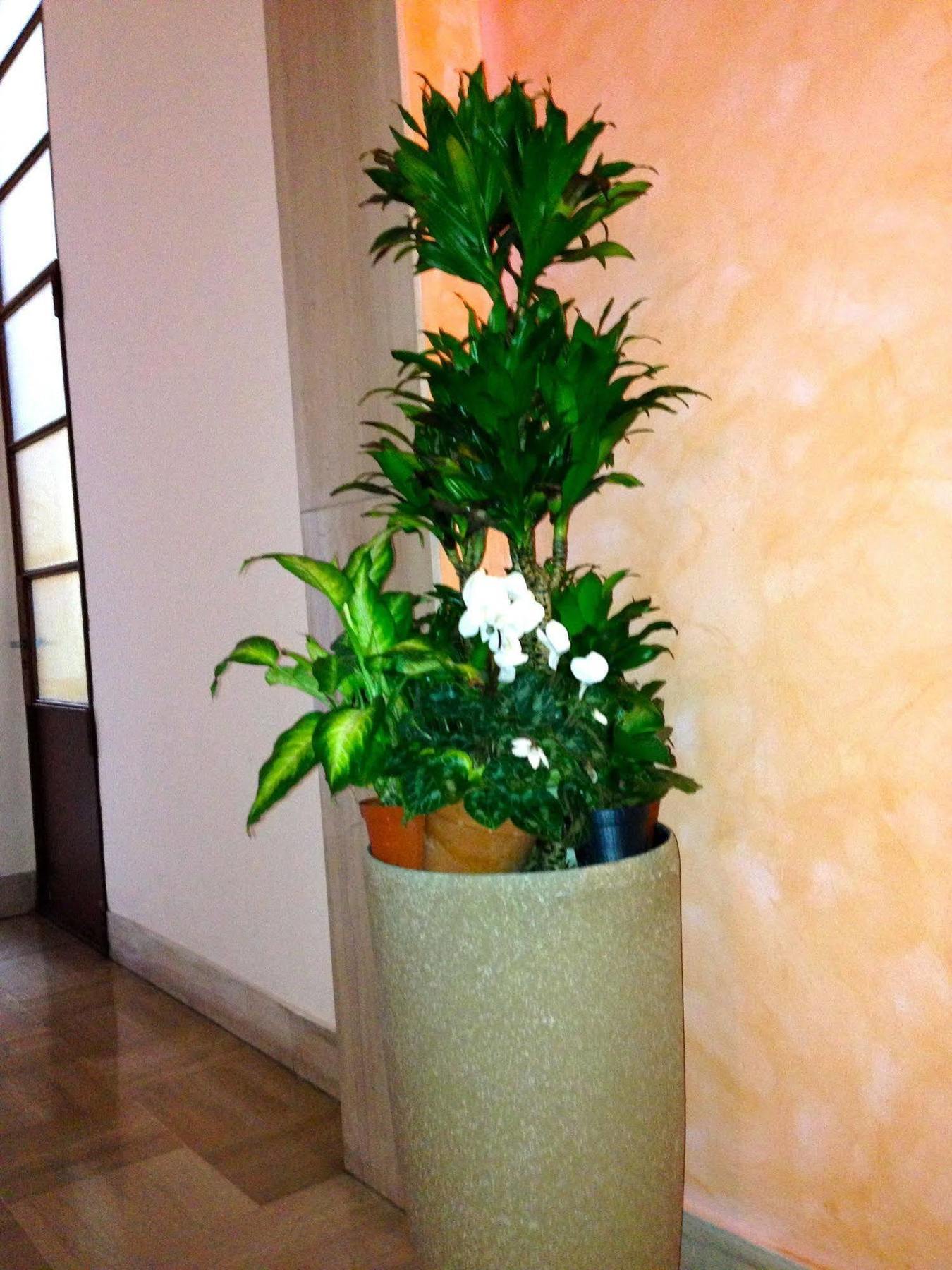 Rigoletto Rental Rooms Verona Esterno foto
